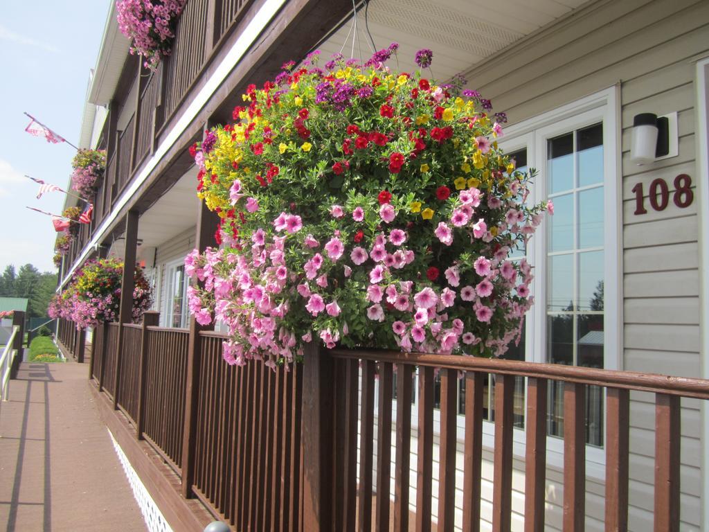 Bishops Country Inn Motel Jackman Dış mekan fotoğraf